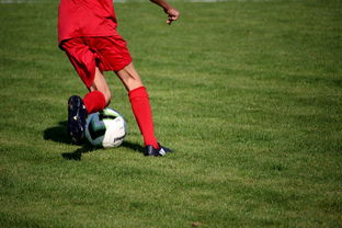 开云官方网站-亚洲拳击锦标赛中国力压印度夺冠，亚州拳击