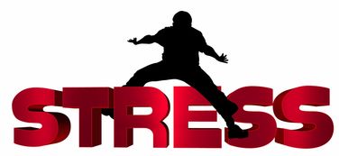 kaiyun开云·官方网站-球队心理建设：如何应对压力与焦虑，球队的问题  第3张