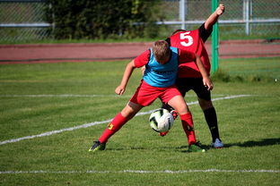 开云·体育官网APP下载-“FIFA严打关联俱乐部，莱昂或失参赛资格”