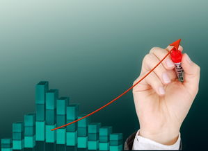 开云官方-体育公益项目影响力持续扩大，体育公益组织